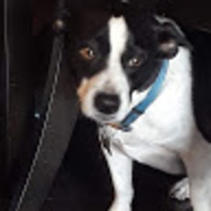 Meet your Posher, Beatriz